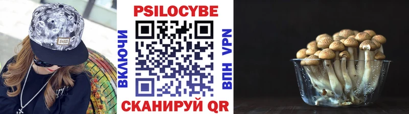 Псилоцибиновые грибы Cubensis Верхотурье